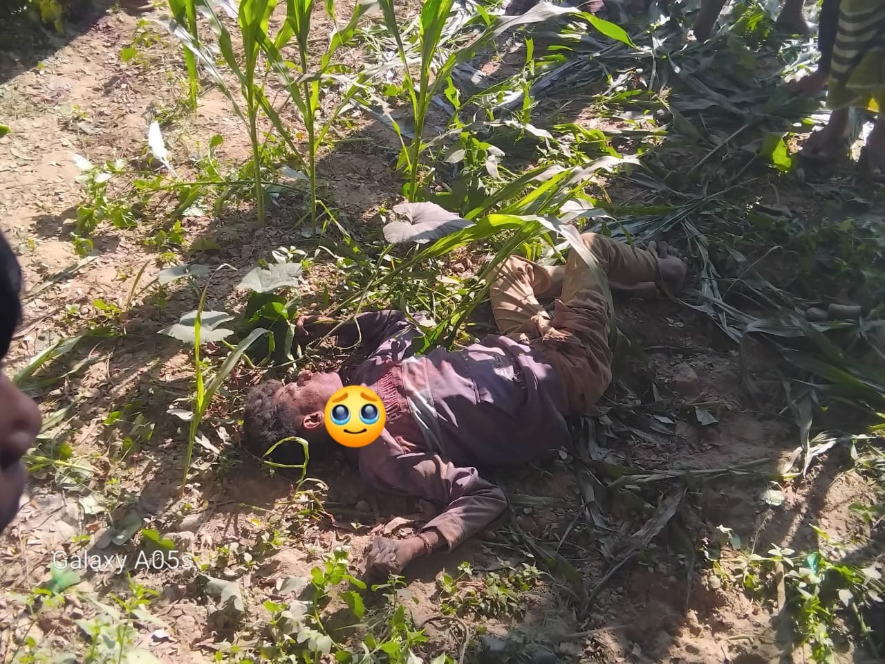 হোমনায় অটোরিকশা ছিনতাই করে চালককে গলা কেটে হত্যা