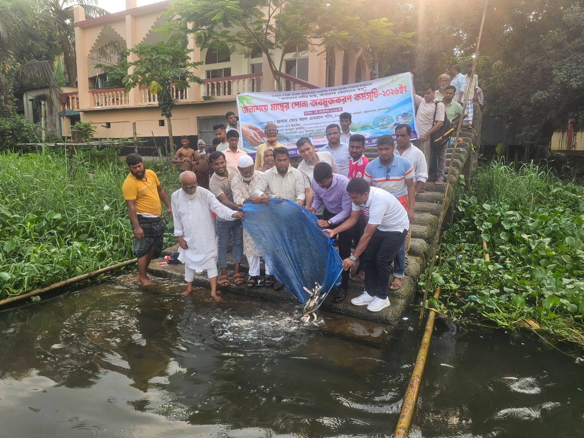 বাঞ্ছারামপুরে জলাশয়ে মাছের পোনা অবমুক্তকরণ কর্মসূচি অনুষ্ঠিত